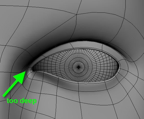 tear duct.jpg