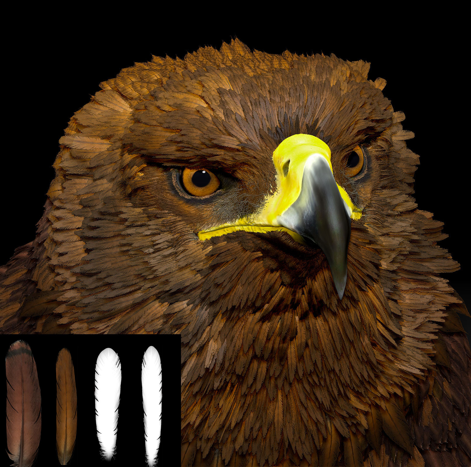 zbrush eagle