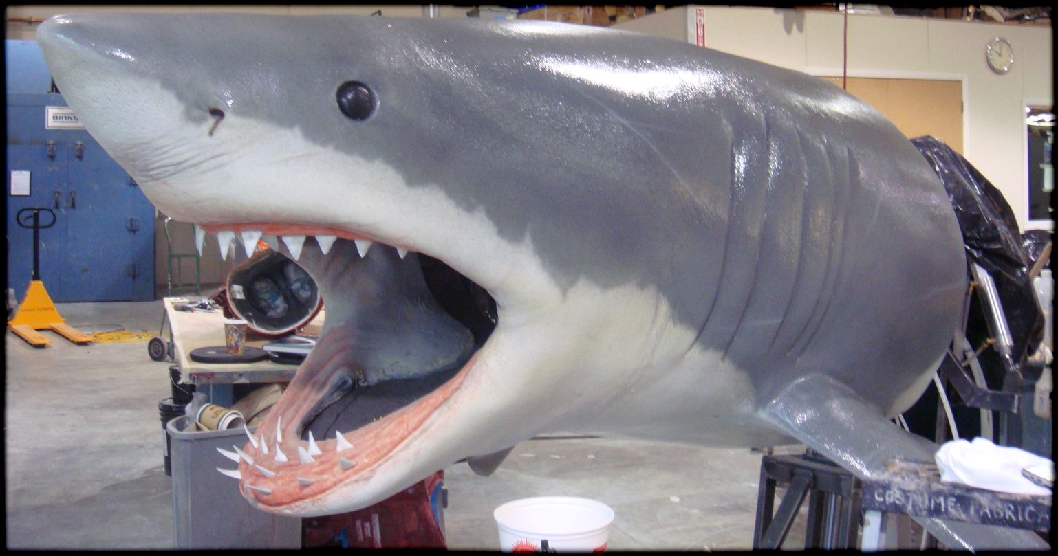 shark003.jpg