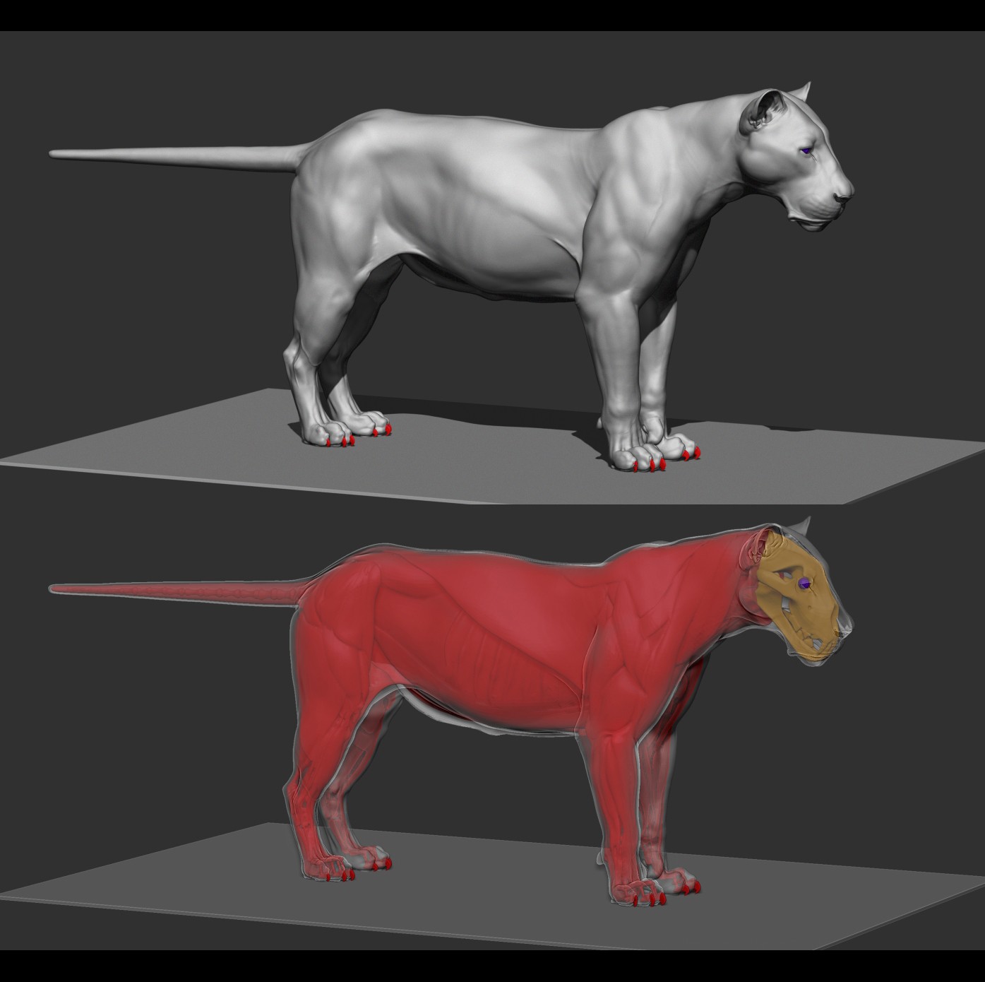 lion_zbrush_sculpt_02.jpeg