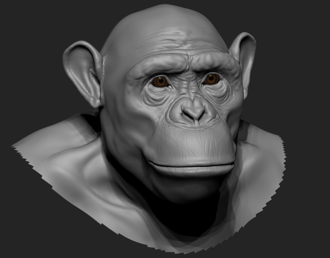 chimpeye3.png