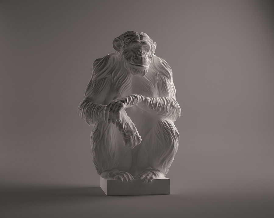 chimp_01_web.jpg