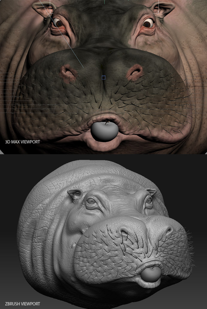 hippo printscreen.jpg