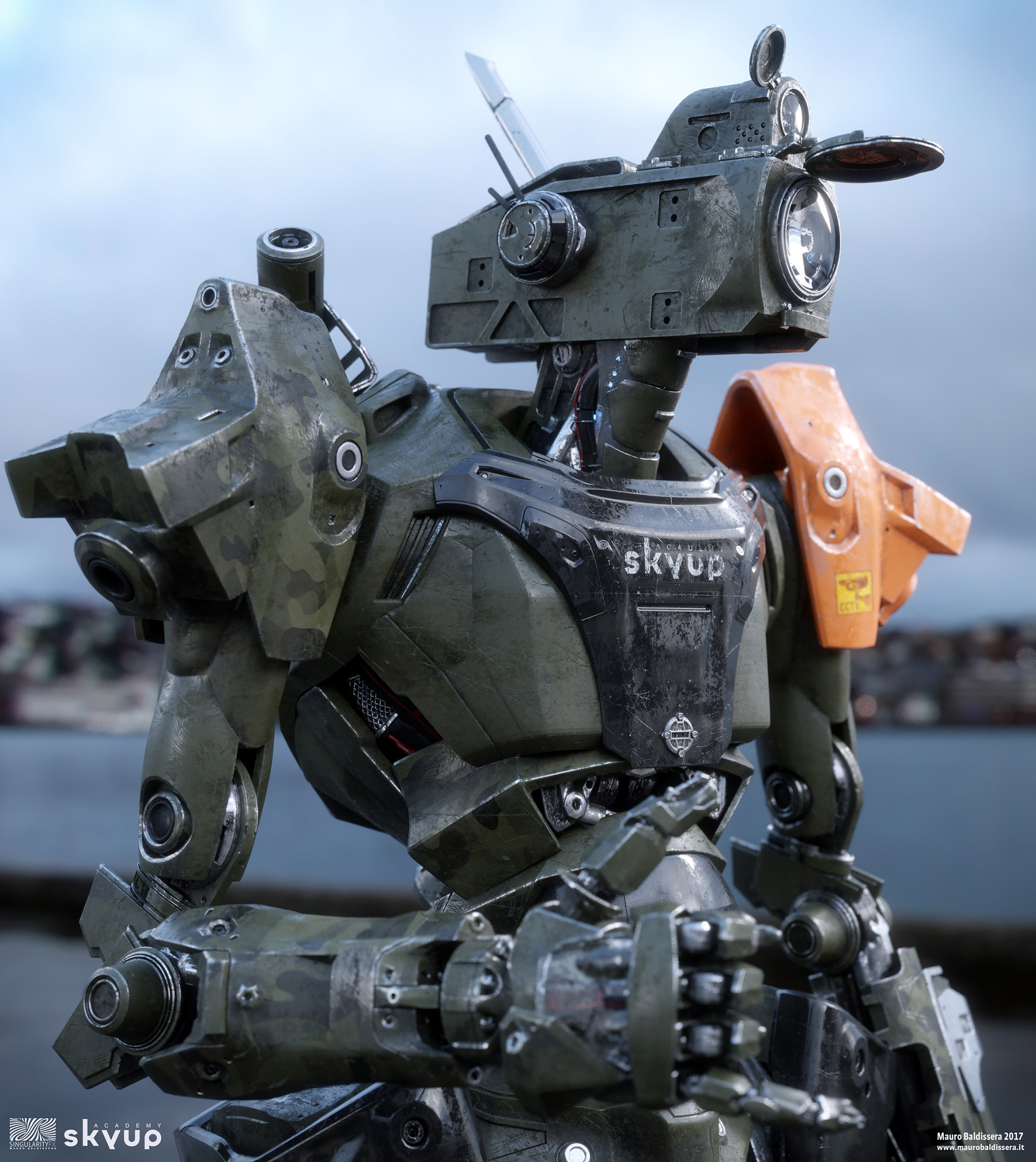 skyupAcademyBot_face01_forum.jpg