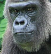 Picture 1.jpg