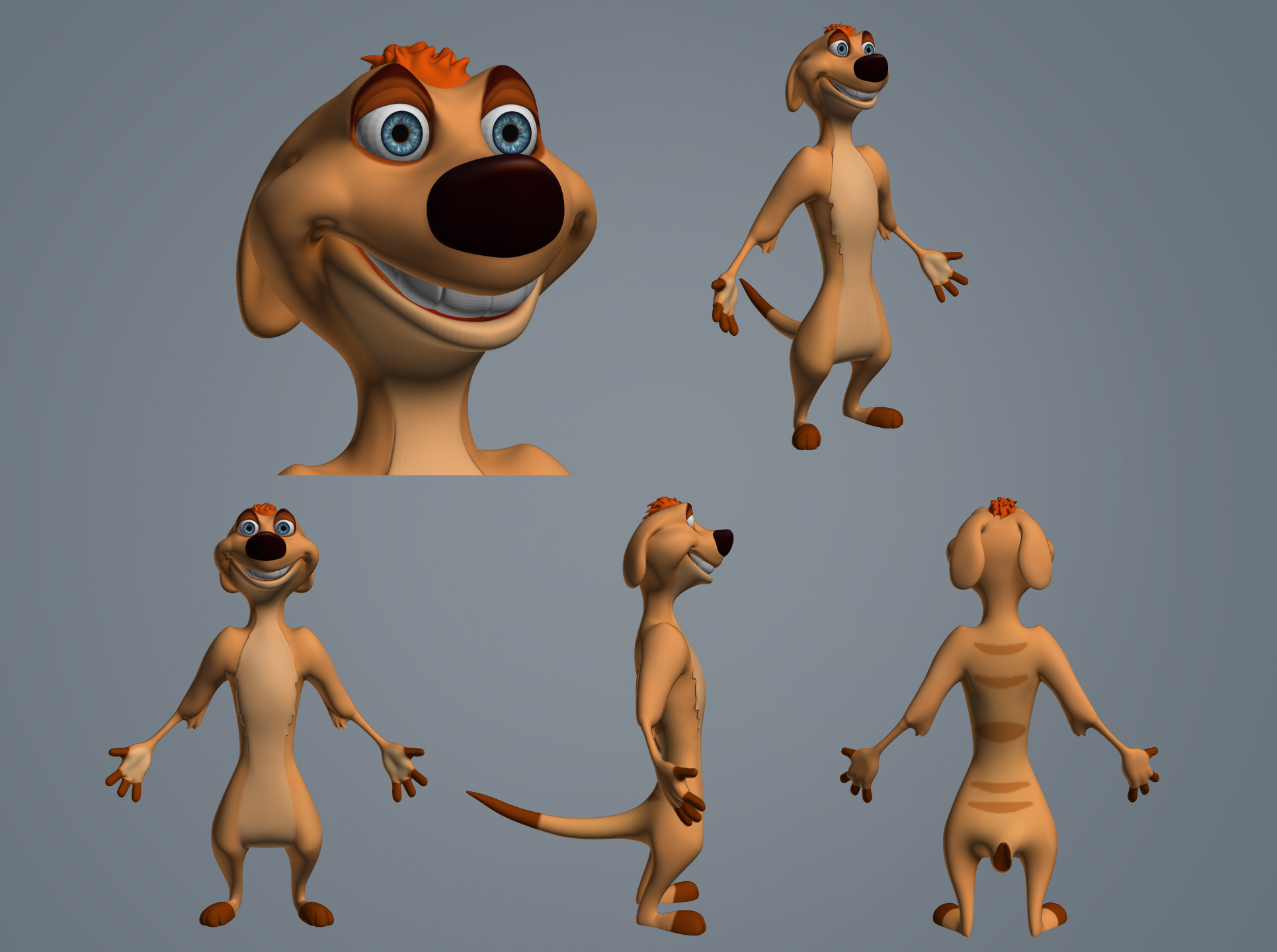 timon.jpg