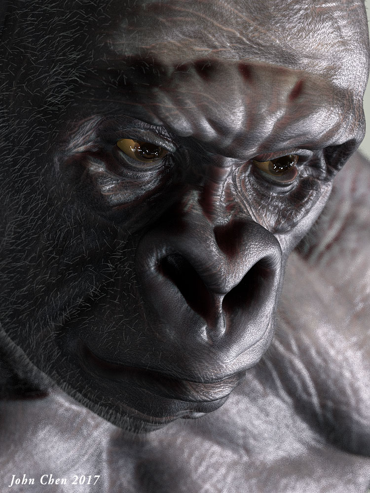 gorilla_2_jc.jpg