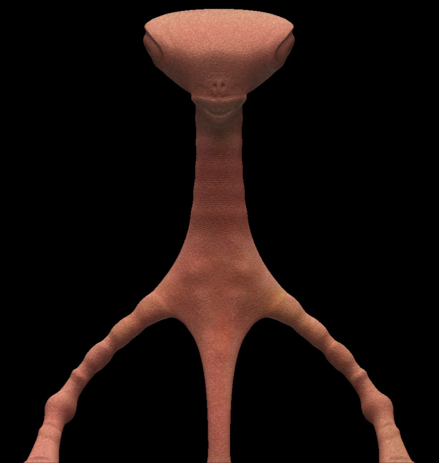 qurdan3.jpg