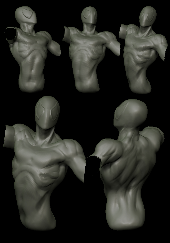 torso.jpg