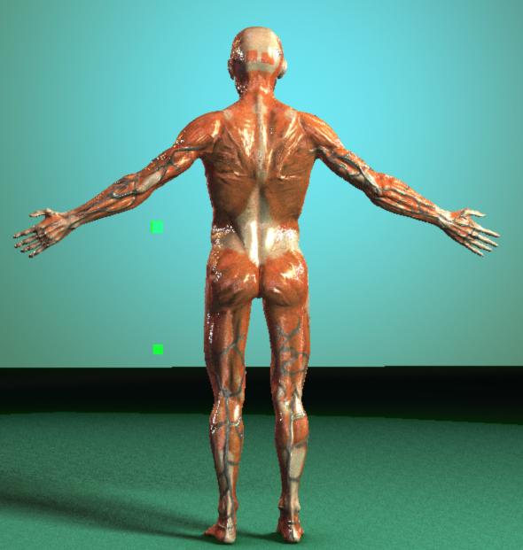 fancyback.jpg