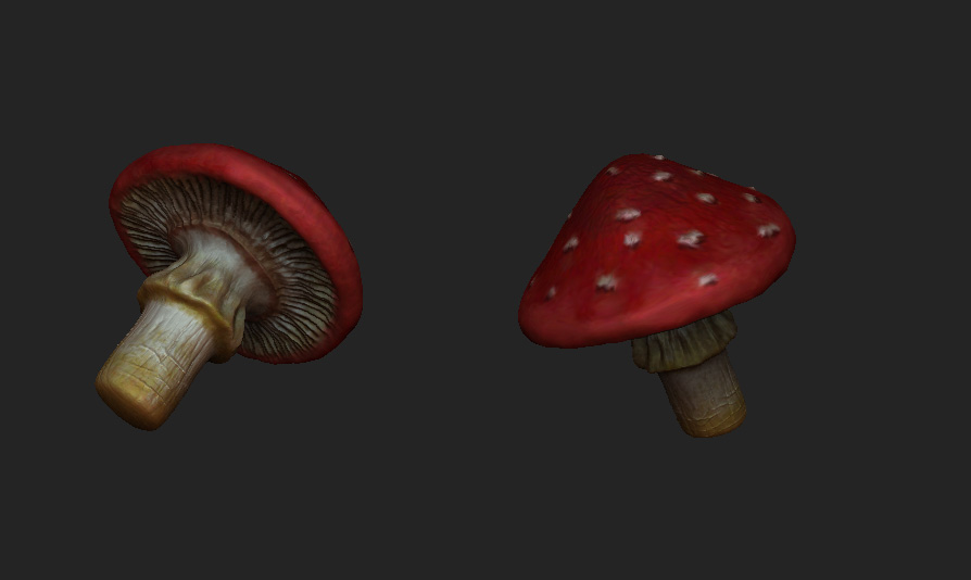 Toadstool.jpg