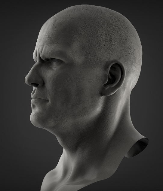 render_01.jpg