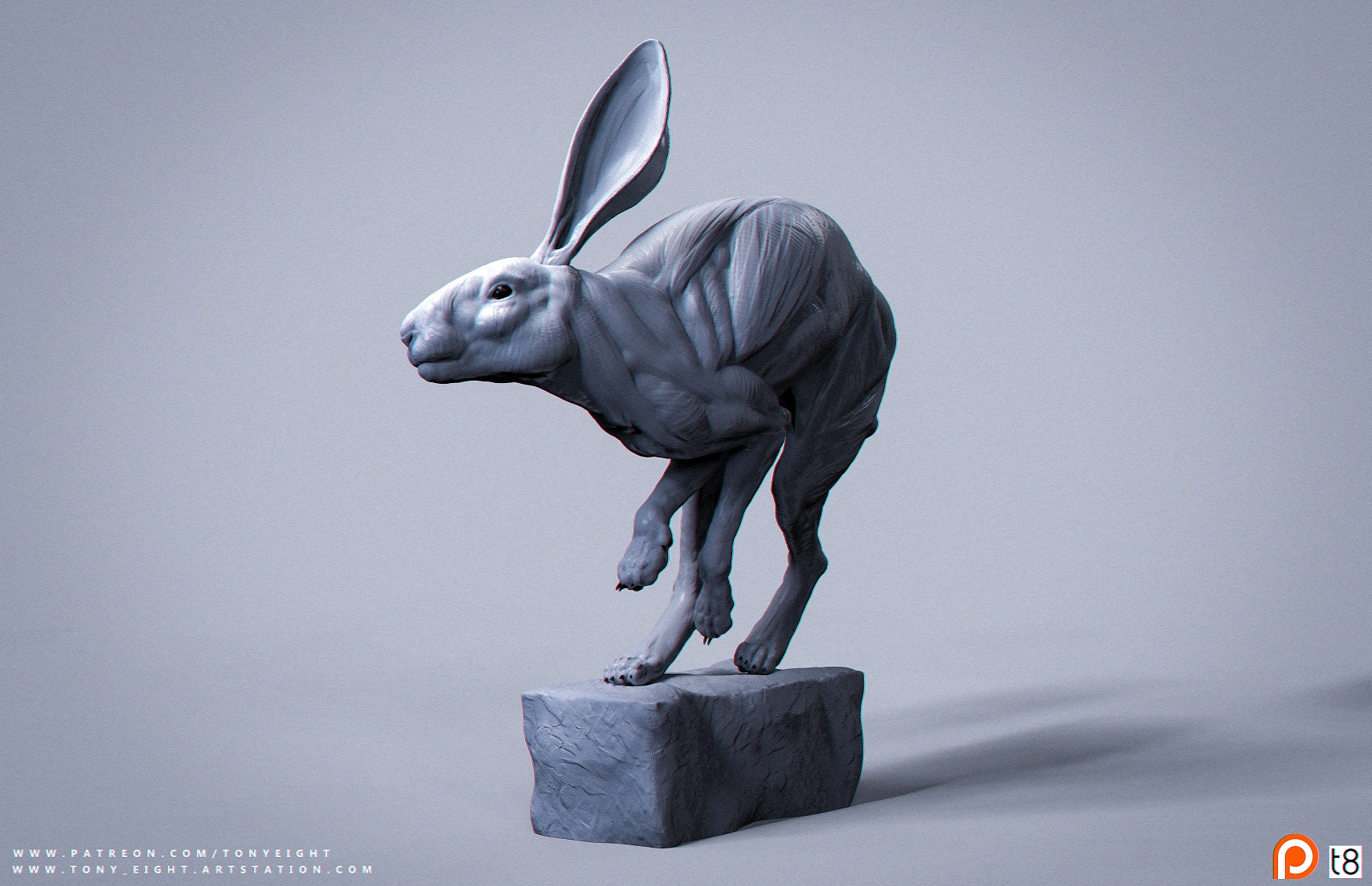 01_Rabbit_Pose_profile2_small.jpg