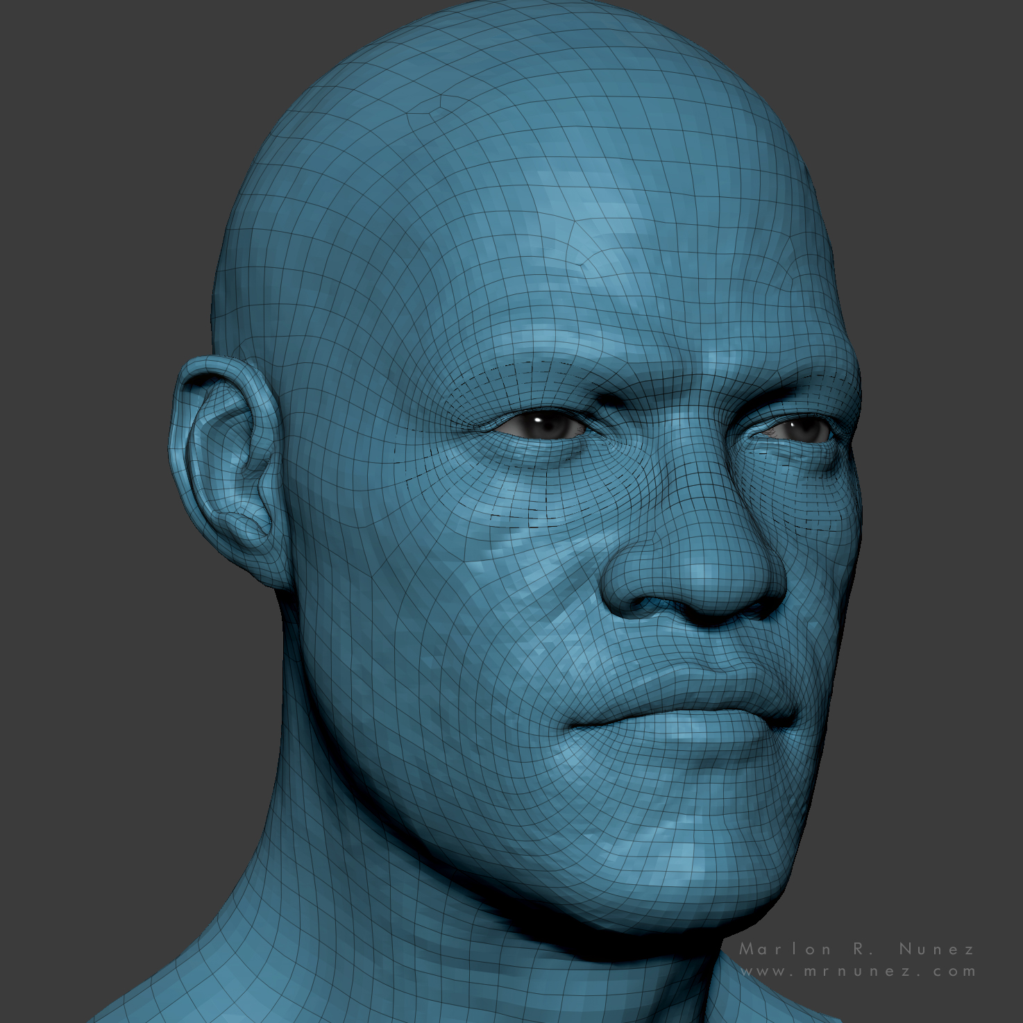 morpheus_topology.jpg