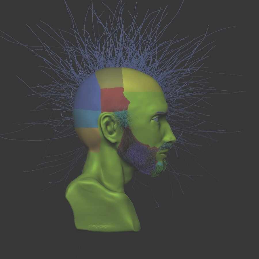 polyhairside