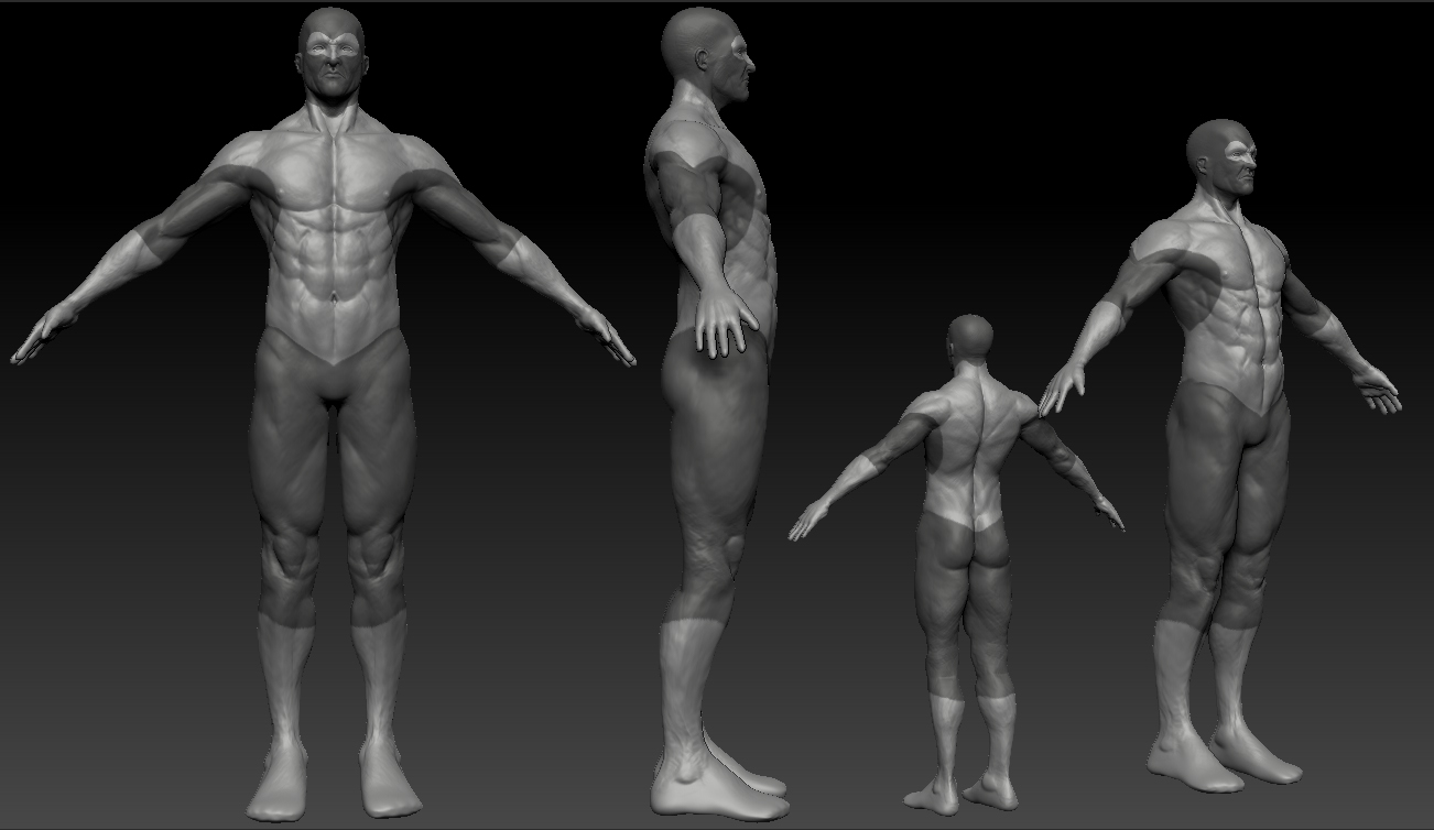 torso.jpg