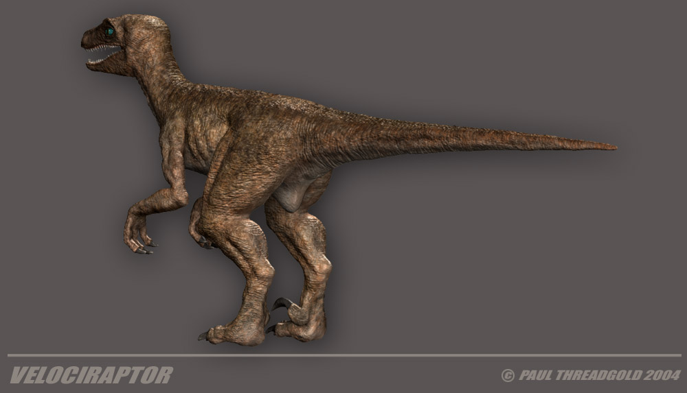 raptorisoreartitledREVISED copy.jpg