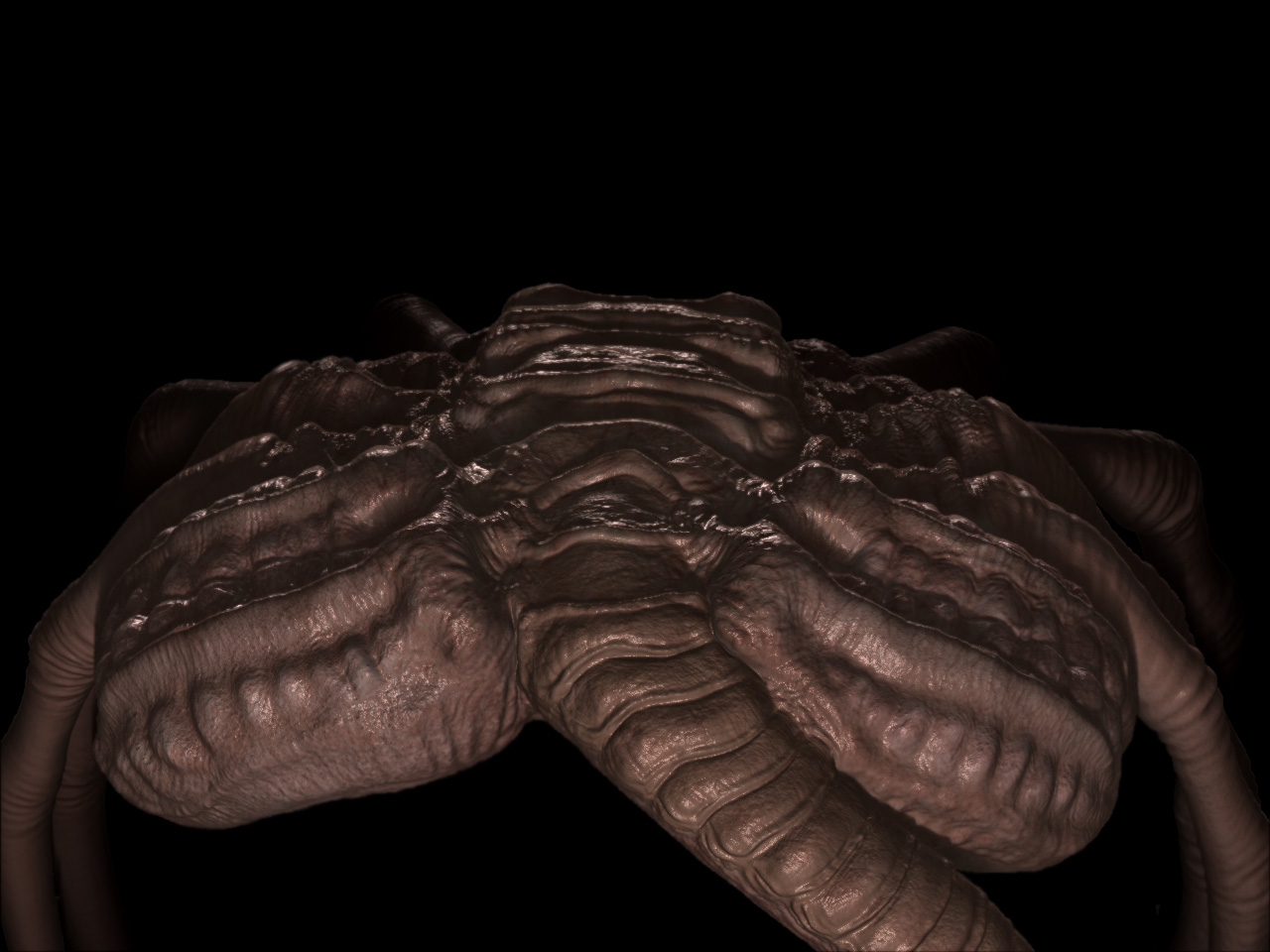Hugger68.jpg