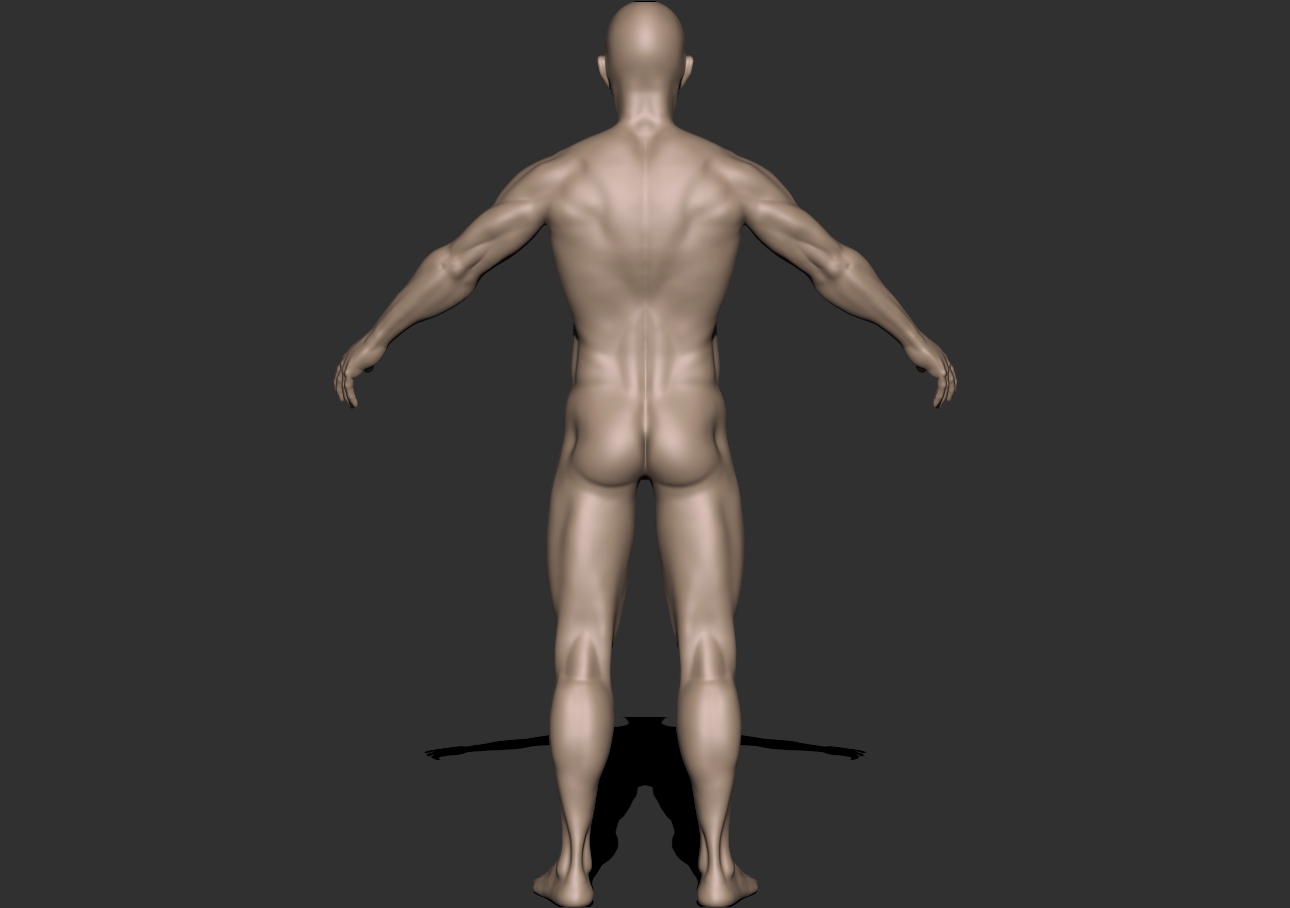 fitdude_back.jpg