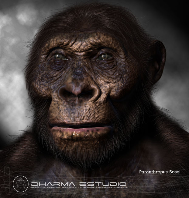 paranthropus-bosei-low.jpg