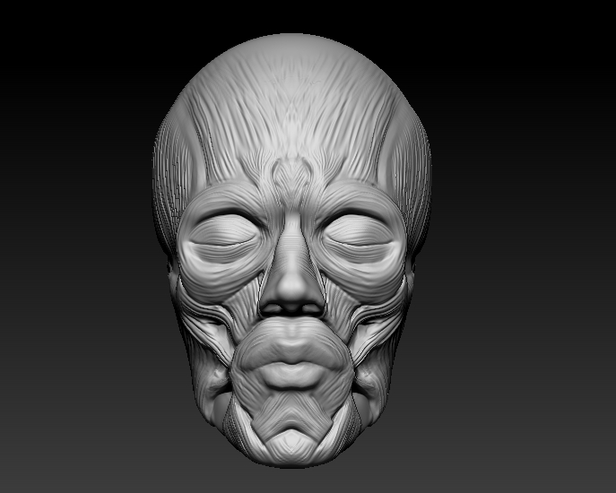 ZBrush Document1