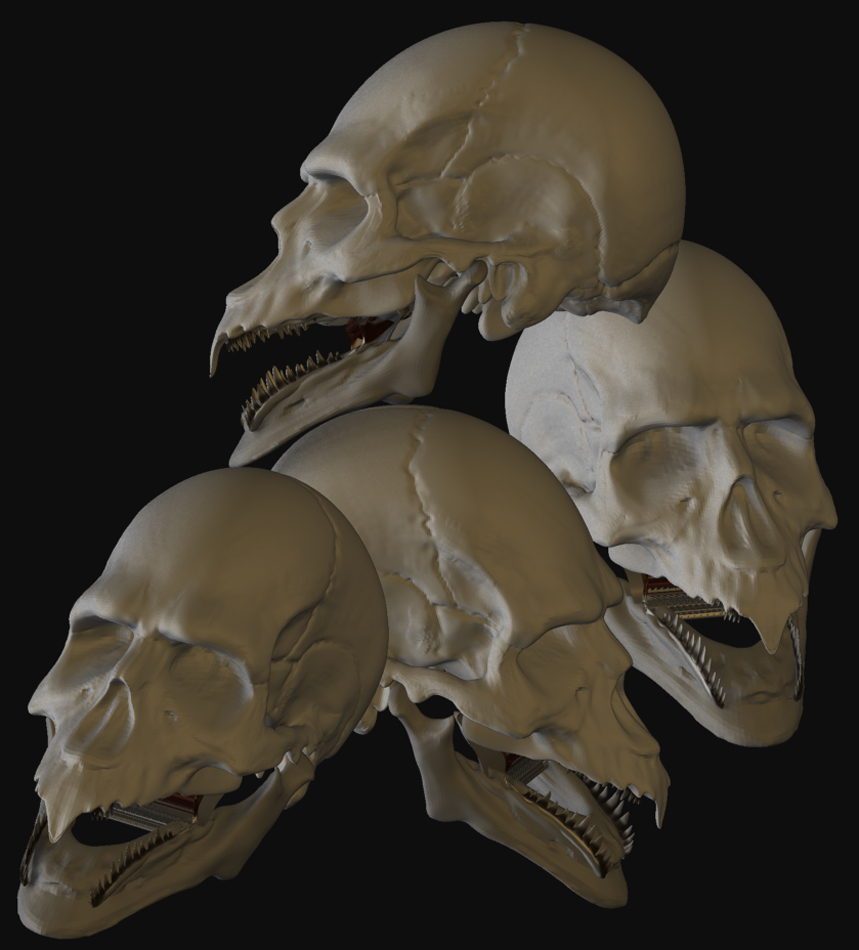 WARPED SKULL 14.jpg