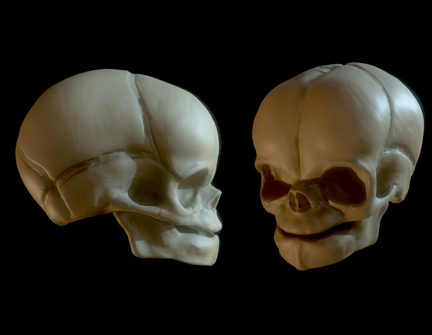 cranio22.jpg