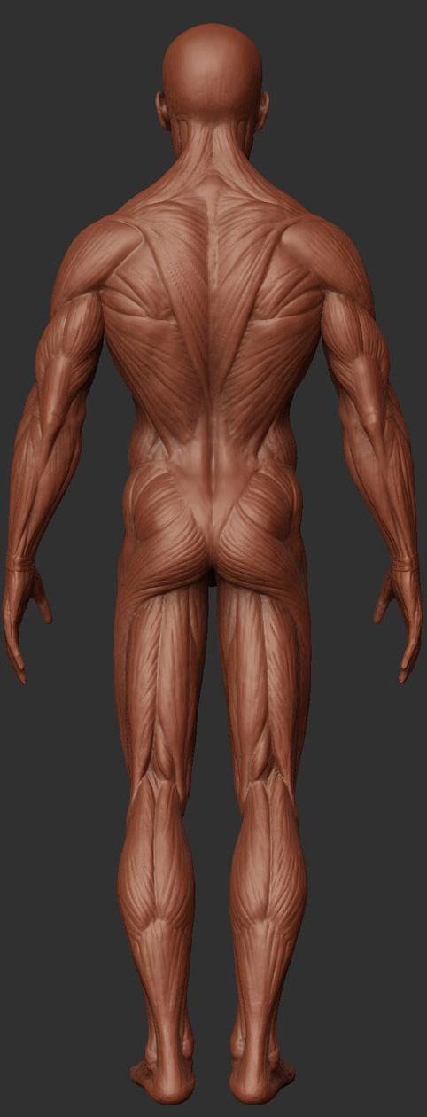back view.jpg