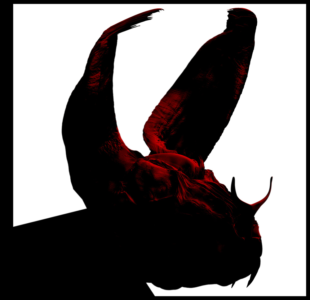 bat2.jpg
