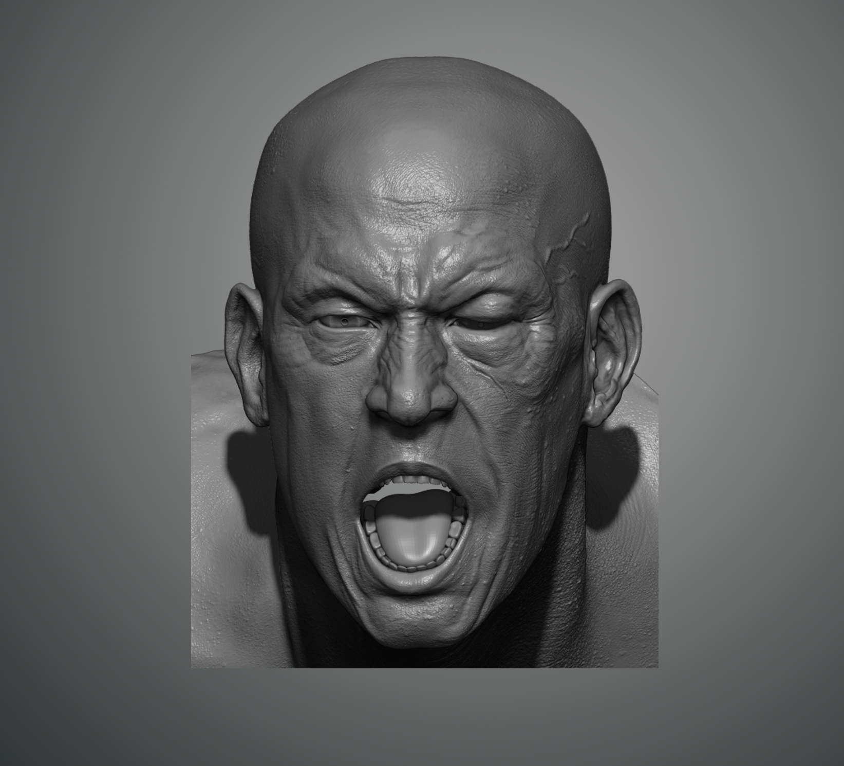 head2.jpg