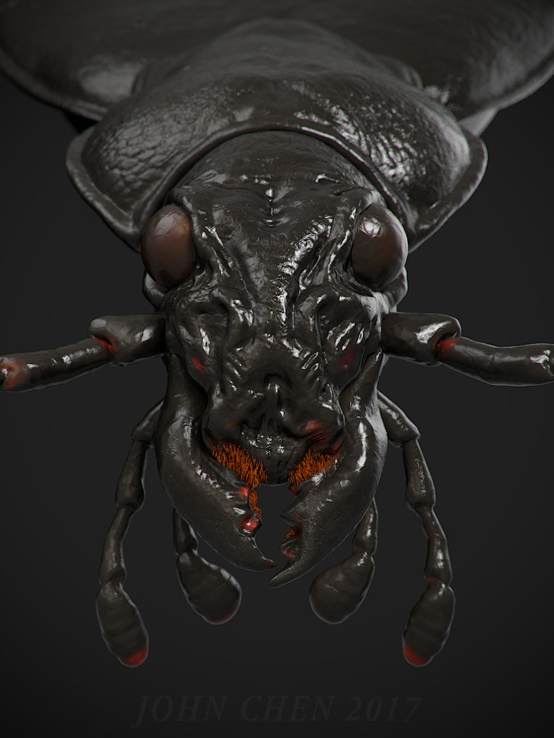 bug2.jpg