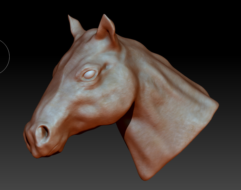 horse2.jpg