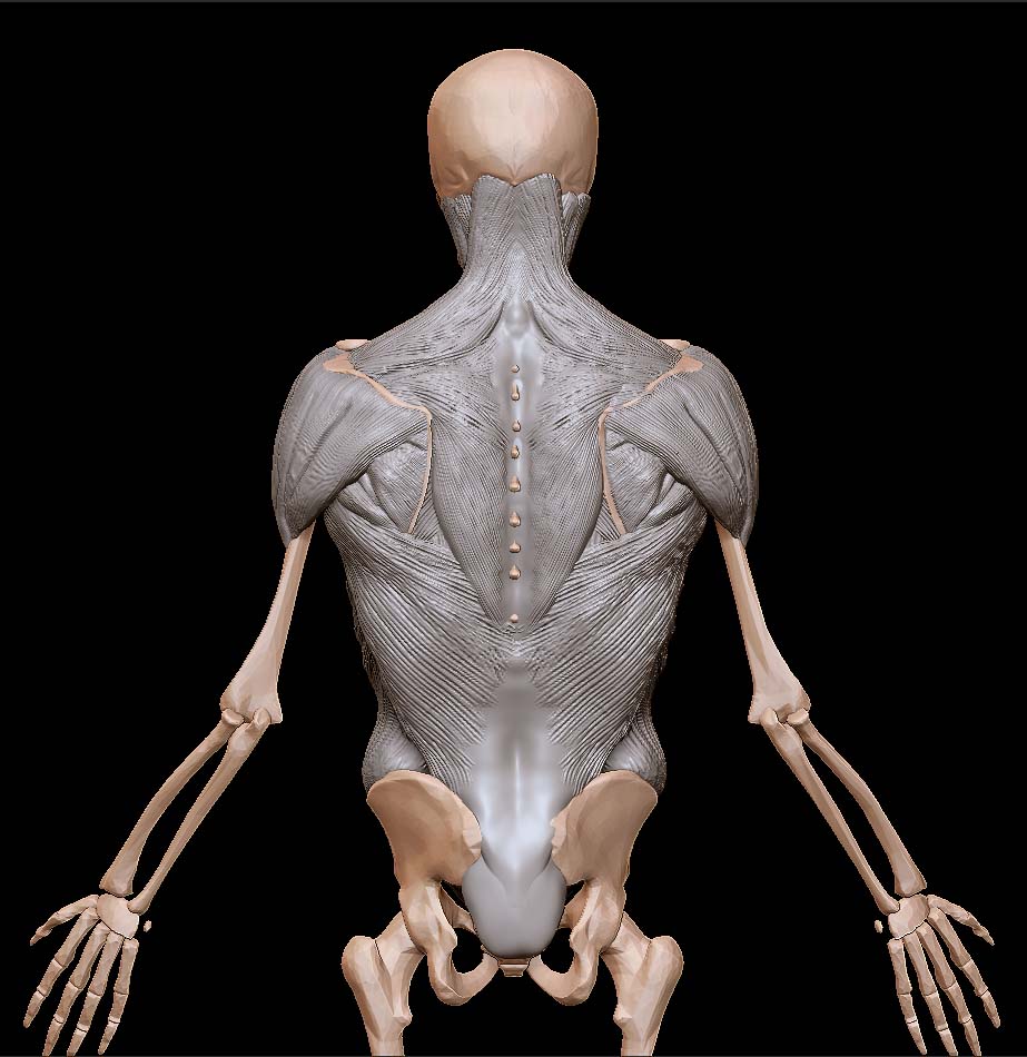 Back.jpg
