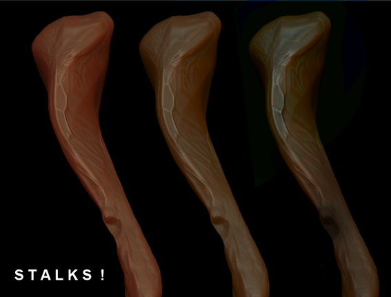 STALKS.jpg