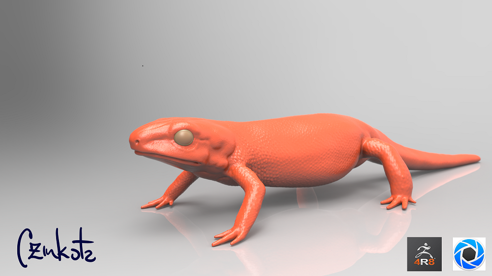 Salamander 01 post.png