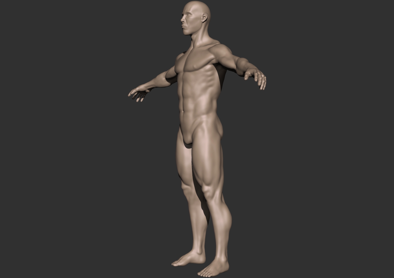 bodybuilder_3 quarter.jpg