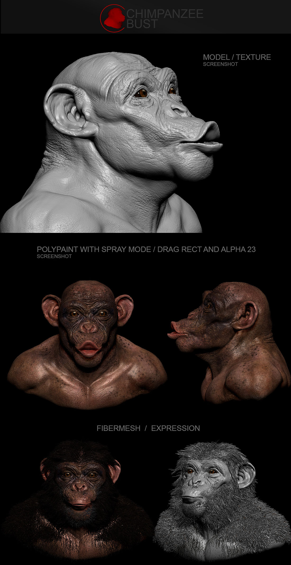 presentation-chimp1100pix.jpg