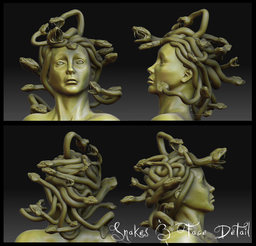 Medusa Snakes & Face Detail 2.jpg