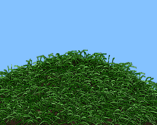 grass001b.jpg
