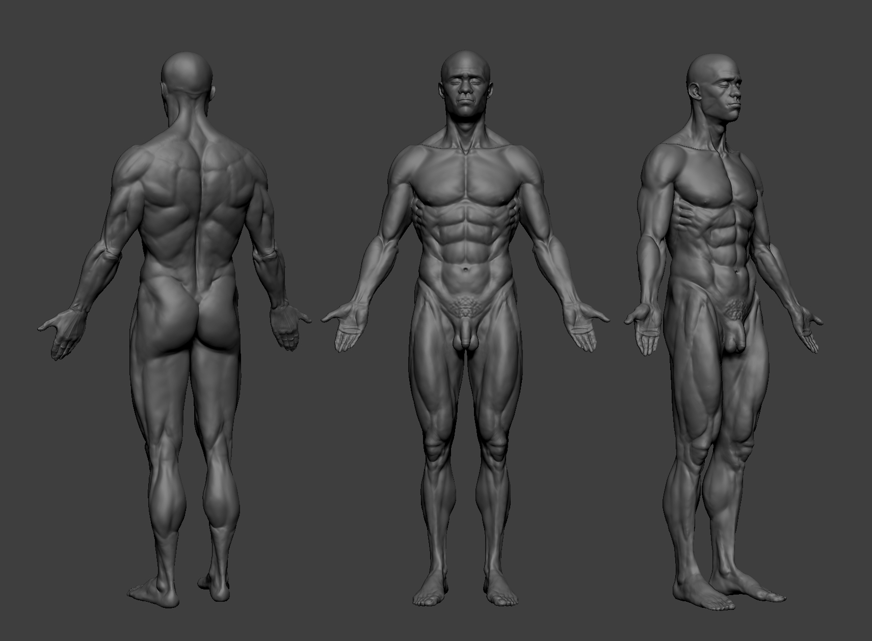 ZBblackmale_anatomy_sheet.jpg