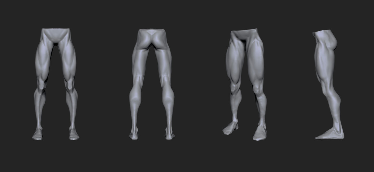 legs.jpg