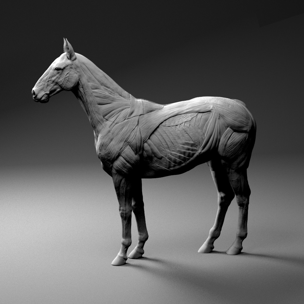 fumi-nakai-horse.jpg