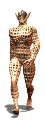 06111902_03.gif