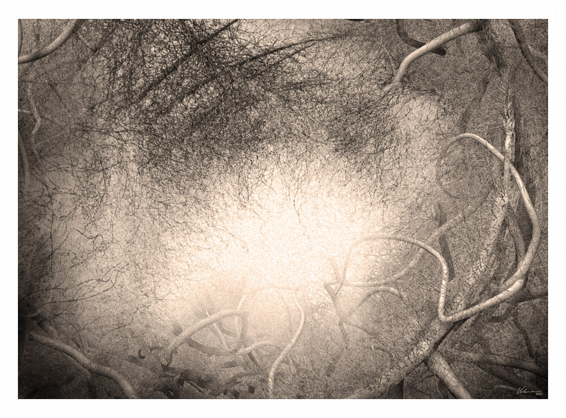 FIBERMESH_FOREST_TEST.jpg