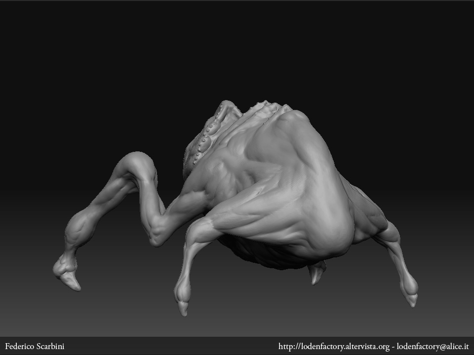 spider_f3.jpg