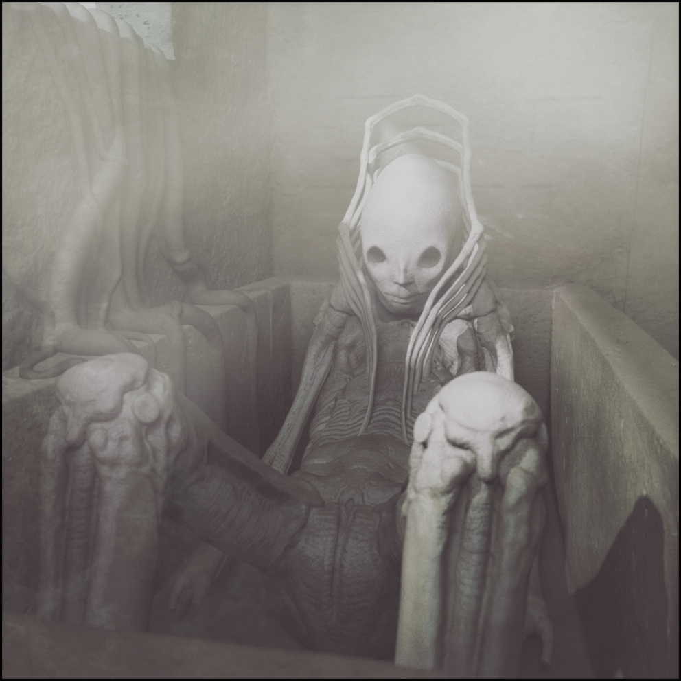 tub chap DONE 1 web.jpg