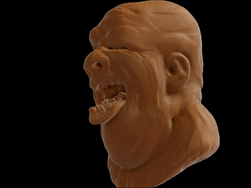 gravel_mouth_3.jpg
