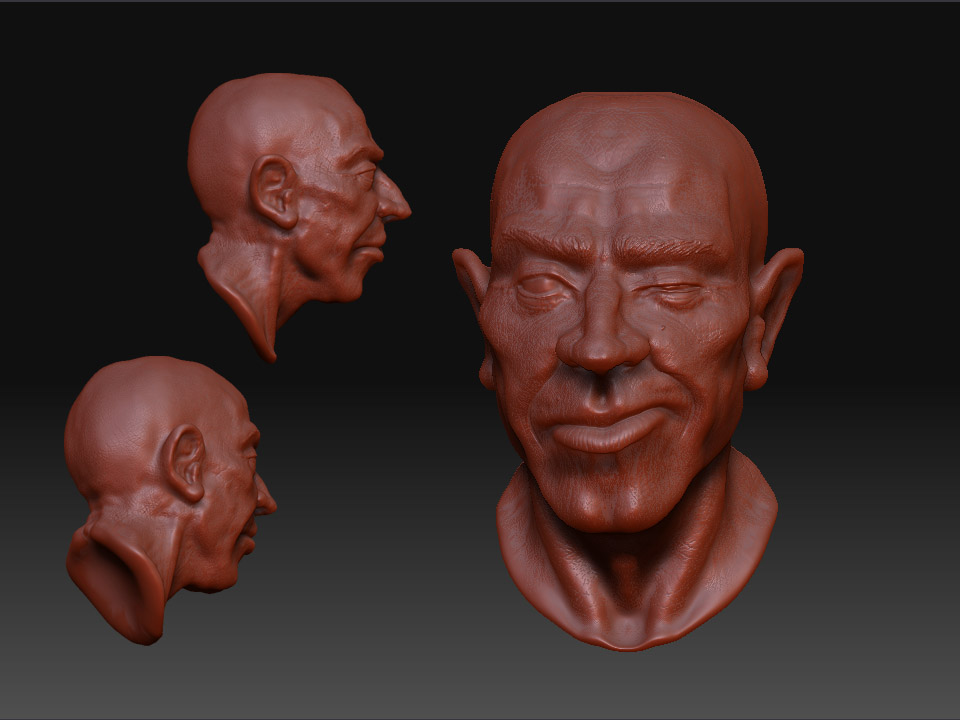 1.5hr head.jpg
