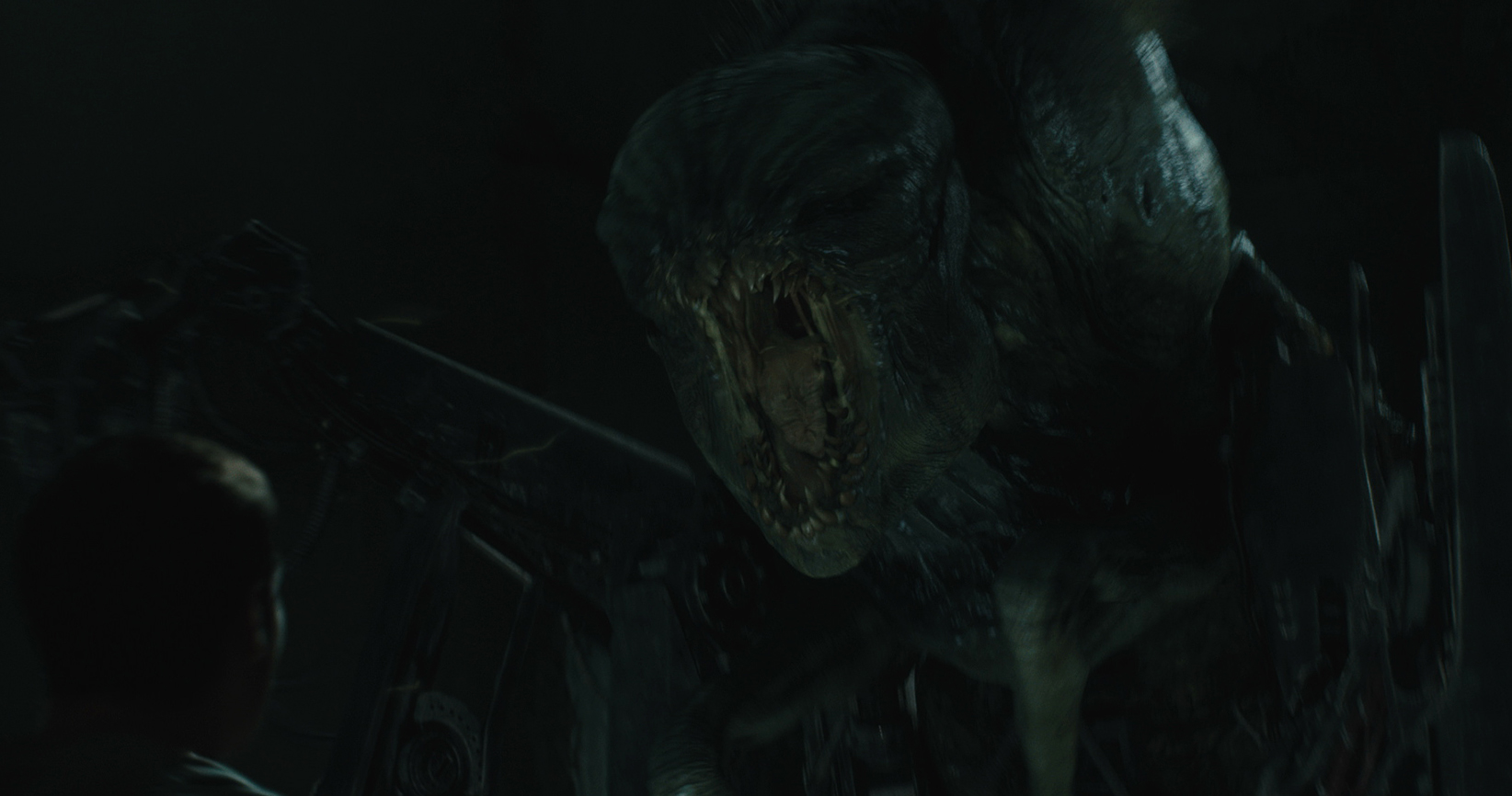 griever_0029.jpg