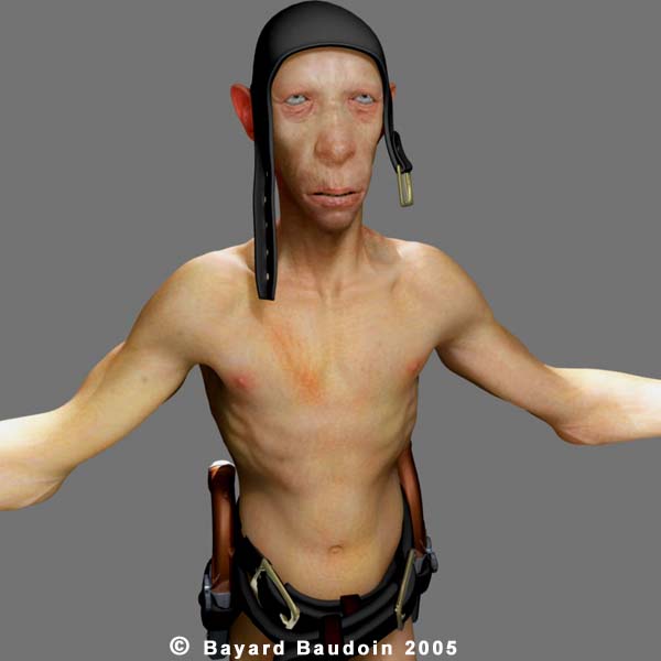 bognew_03.jpg